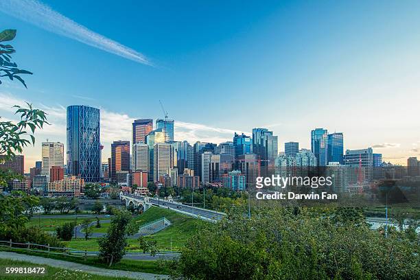 calgary skyline - calgary summer stock pictures, royalty-free photos & images