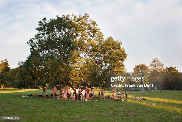 distant view of adult crowd under a tree at sunset party in park - party under stock pictures, royalty-free photos & images