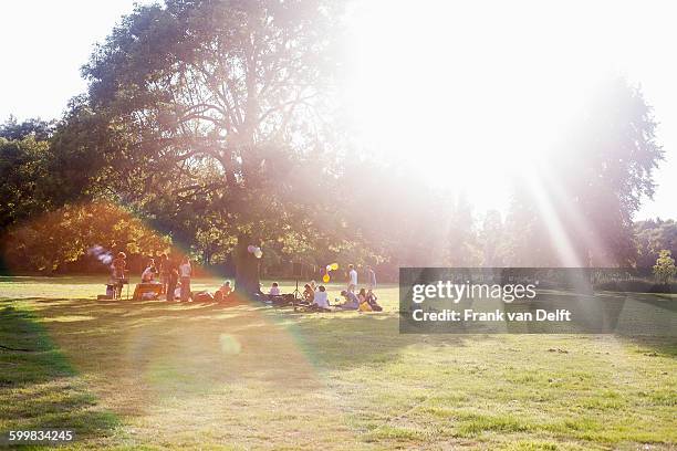 adults friends sitting under a tree at sunset party in park - party under stock pictures, royalty-free photos & images