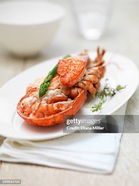 dressed canadian lobster - lobster seafood stock pictures, royalty-free photos & images