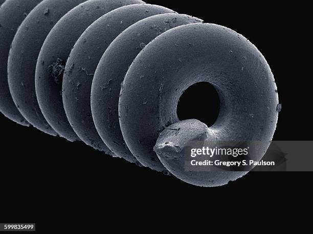 coloured sem of acupuncture needle - electron microscope stock pictures, royalty-free photos & images