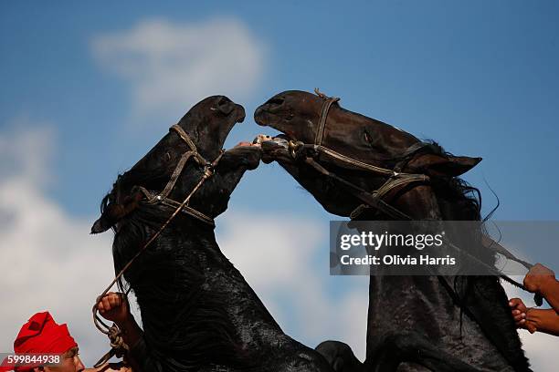 Riders from Mongolia and Kyrgyzstan compete in horseback wrestling competition at the World Nomad Games on September 7, 2016 in Cholpon-Ata,...