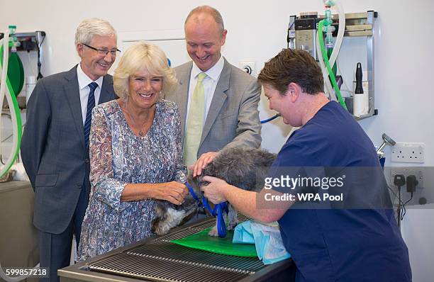Camilla, Duchess of Cornwall meets a dog called Nancy with Veterinary Director Shaun Opperman, TV personality Paul O'Grady and nurse Becky Smith...