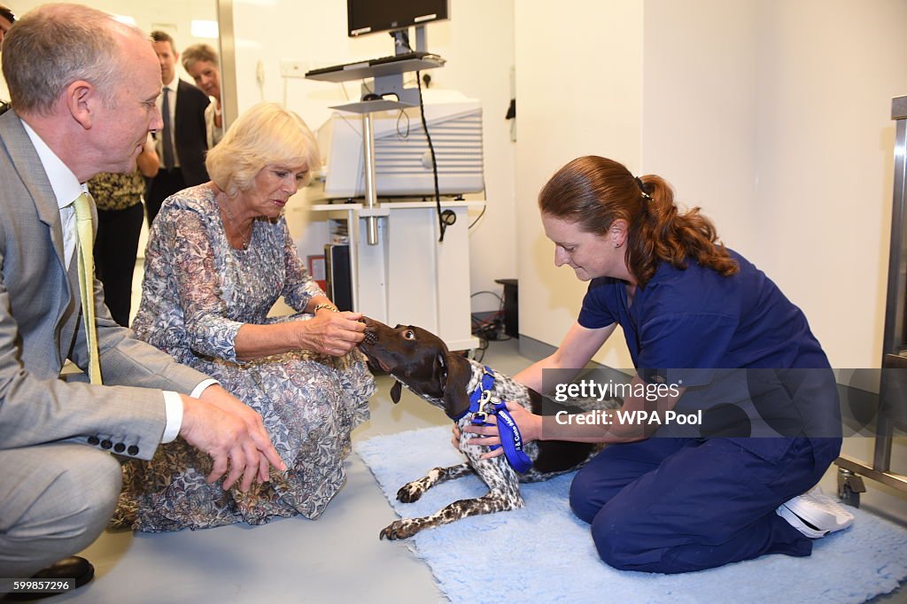 The Duchess Of Cornwall Visits Battersea Dogs & Cats Home