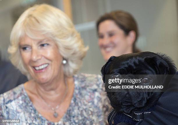 Britain's Camilla, Duchess of Cornwall , reacts as she meets Peanut, during her tour of Battersea Dogs & Cats Home in west London on September 9,...