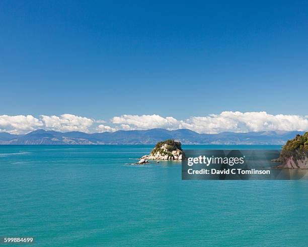 the turquoise waters of tasman bay, kaiteriteri - kaiteriteri stockfoto's en -beelden