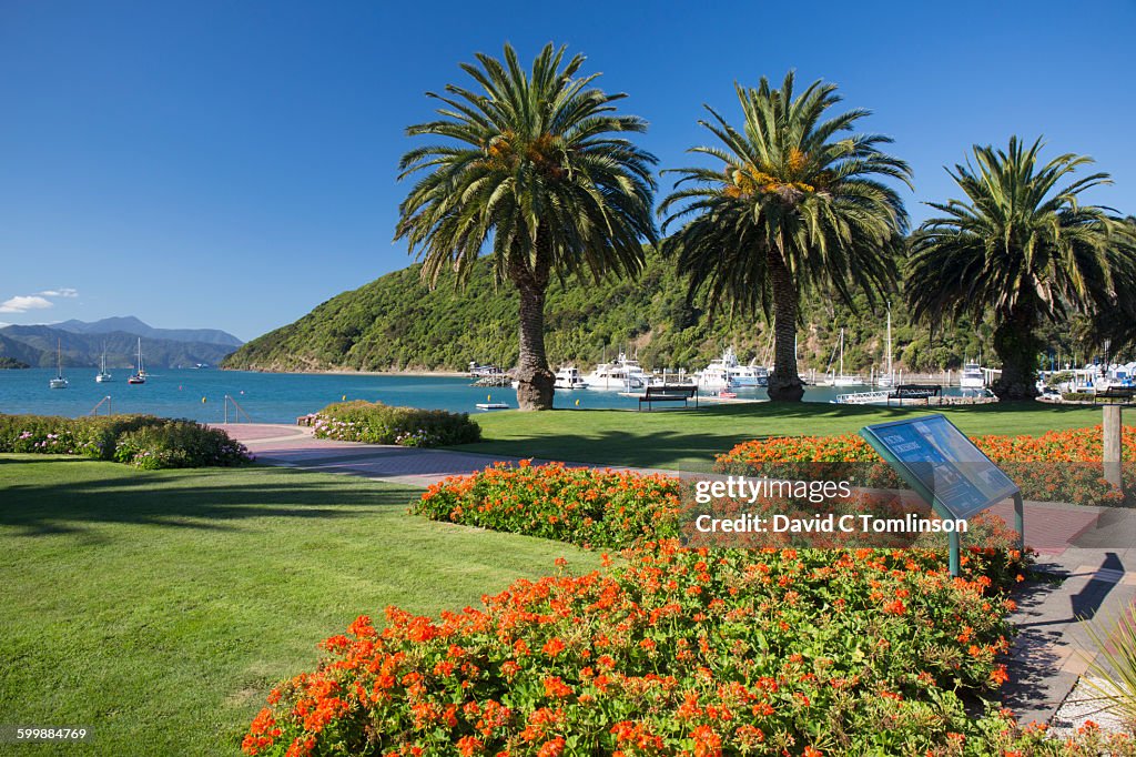 Colourful harbourside gardens, Picton