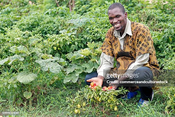 a peasant in his vegetable garden - commerceandculturestock stock pictures, royalty-free photos & images