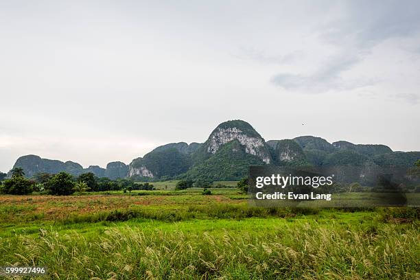 valle de vinales, cuba - viñales vallei stockfoto's en -beelden