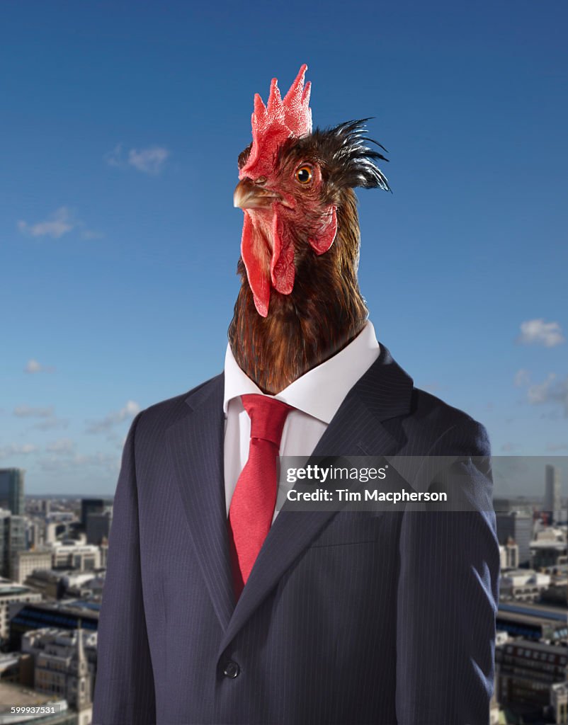 Portrait of a cockeral dressed as a businessman