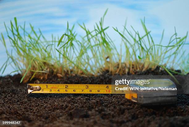 close-up of a tape measure on soil - metro unidad de medida fotografías e imágenes de stock