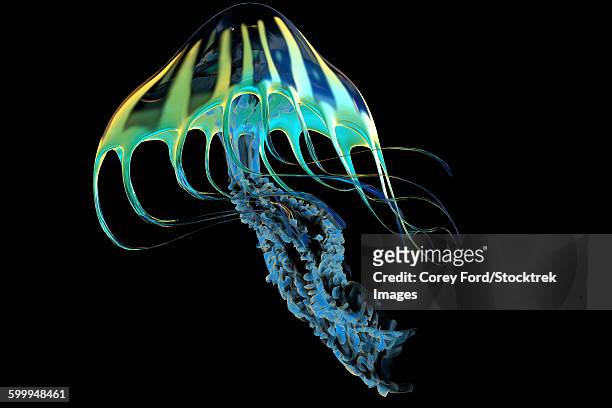 a bioluminescent jellyfish. - bioluminescence stock-grafiken, -clipart, -cartoons und -symbole