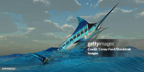 illustrations, cliparts, dessins animés et icônes de a blue marlin bursts from ocean waters. - espadon saut