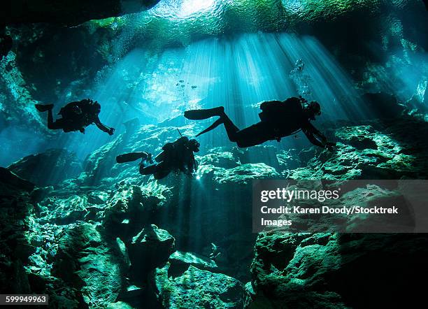 diver enters the cavern system at chac mool cenote in the riviera maya area of mexicos yucatan peninsula. - cenote mexico stock pictures, royalty-free photos & images