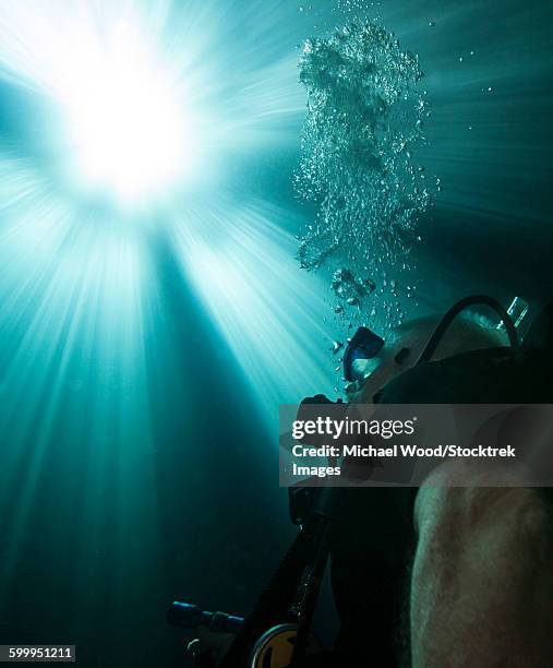 a scuba diver surfacing and looking up into the light. - florida sinkhole stockfoto's en -beelden