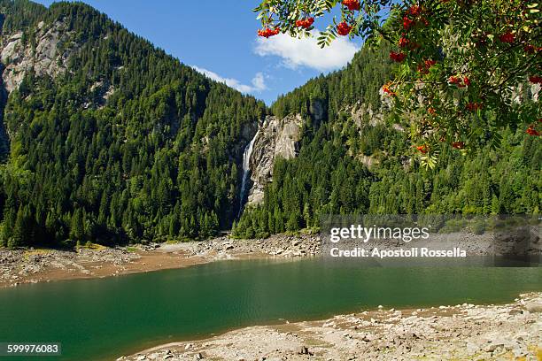 Daone Photos and Premium High Res Pictures Getty Images