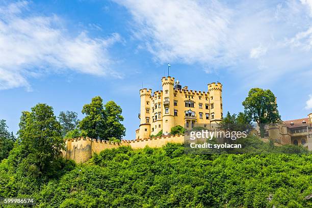 the hohenschwangau castle - hohenschwangau castle stock pictures, royalty-free photos & images
