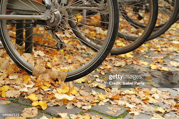 fallen leaves on bicycle wheels - bruselas stock pictures, royalty-free photos & images