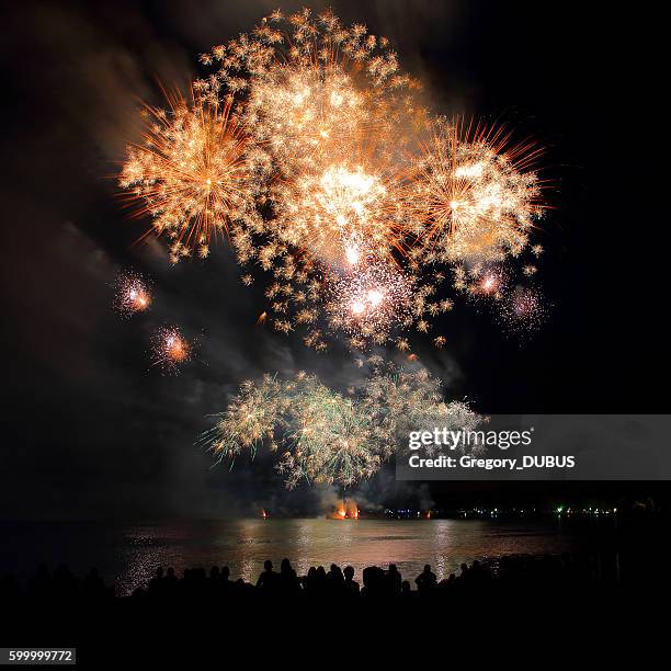 beautiful large gold fireworks sparks with unrecognizable crowd people watching - rhone river stock pictures, royalty-free photos & images