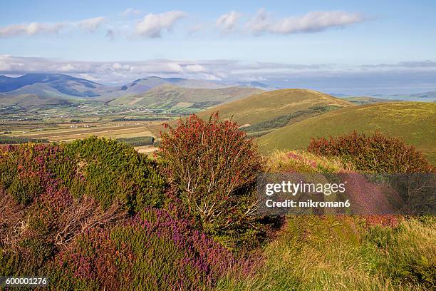 Stack Mountains 15 Blue Stack Mountains Ireland Stock Photos, High-Res Pictures, and ...