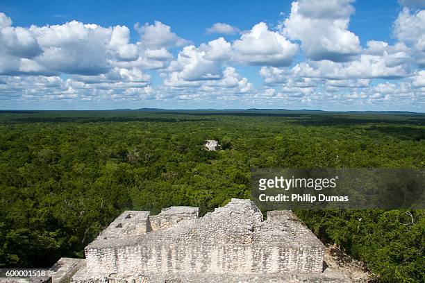 calakmul biosphere reserve - campeche stock pictures, royalty-free photos & images