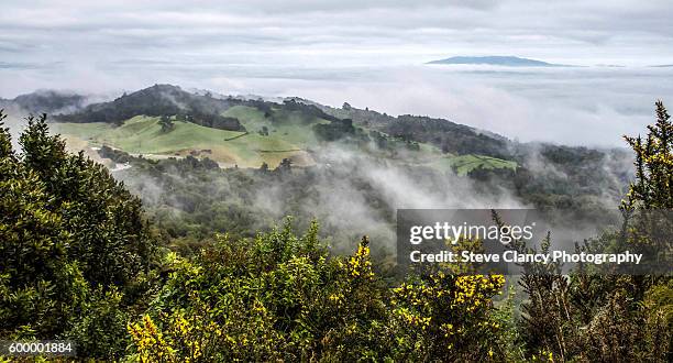 Kaimai Rivers 22 Kaimai Range Stock Photos, High-Res Pictures, and Images - Getty Images