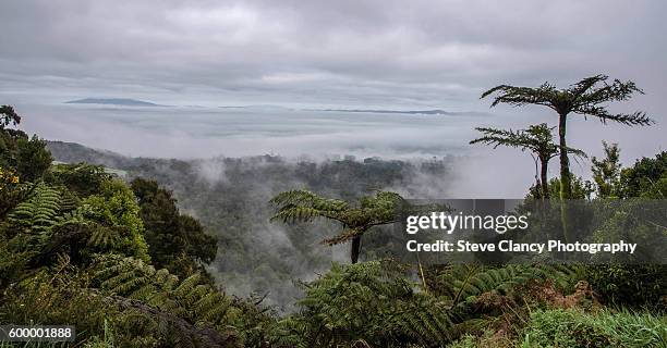 Kaimai Rivers 22 Kaimai Range Stock Photos, High-Res Pictures, and Images - Getty Images