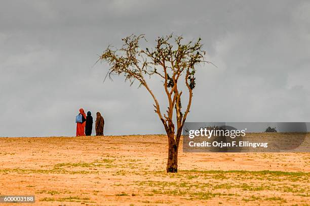 Refugee camp in Touloum in Tchad, close to the sudanese border. More than 23.000 refugees from Darfur, mainly women and children, live in the camp....