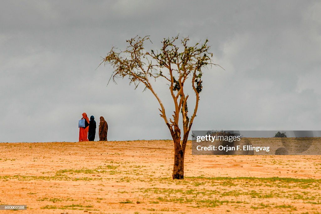 Chad - Climate - Darfur refugees