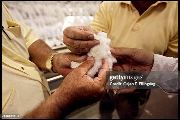 Workers inspect the cotton after the seeds are removed in the gin. Farmers in Mississippi are struggling with the worst drought in years. The plants...