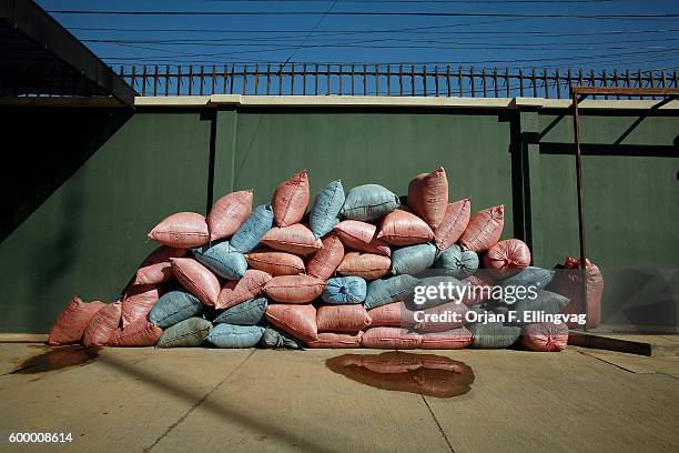 Dozens of bags with coca leaves confiscated from farmers. While coca can be farmed legally under license in Bolivia, enormous amounts are farmed...