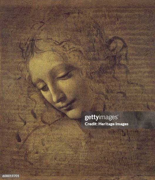Head of a Woman , 1500s. Found in the collection of Galleria Nazionale, Parma. Artist : Leonardo da Vinci .