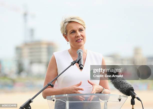 Deputy Leader of the Australian Labor Party Tanya Plibersek gives an address during the R U OK Day event at Bondi Icebergs on September 8, 2016 in...