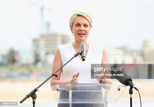 Deputy Leader of the Australian Labor Party Tanya Plibersek gives an address during the R U OK Day event at Bondi Icebergs on September 8, 2016 in...