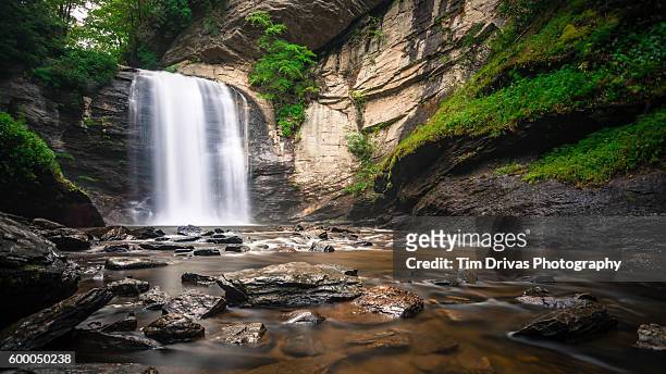 looking glass falls - pisgah national forest stock pictures, royalty-free photos & images