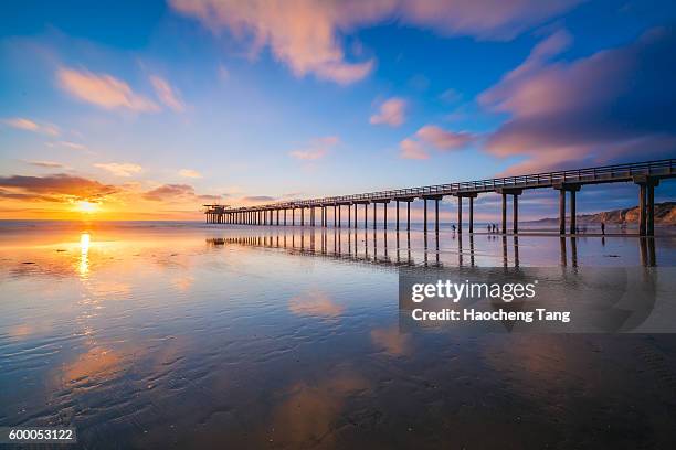 wondering by the sea - la jolla stock-fotos und bilder