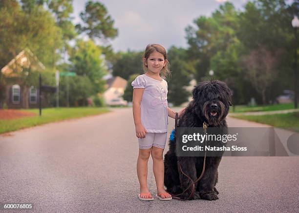 a girl and her dog - bouvier des flandres ストックフォトと画像