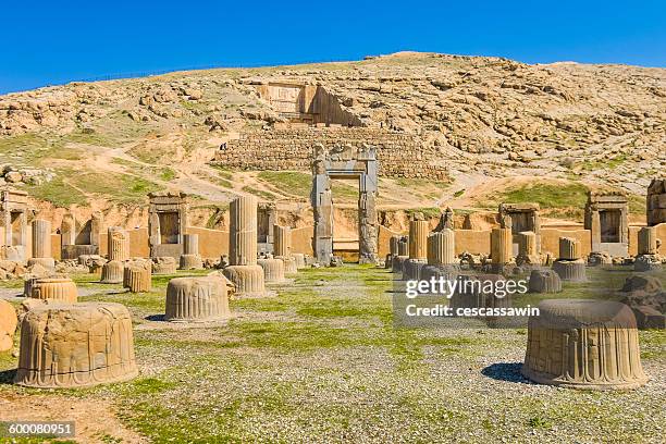 persepolis, shiraz, iran - persepolis 個照片及圖片檔