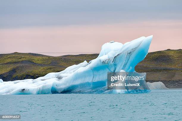 iceland - spike stock pictures, royalty-free photos & images