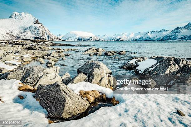 coastline view in the lofoten during winter - sjoerd van der wal stock pictures, royalty-free photos & images