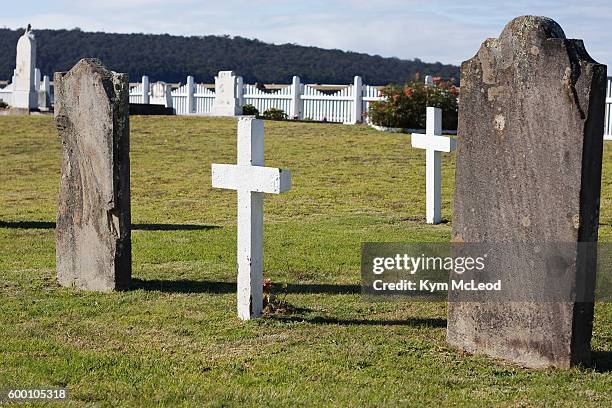 white crosses and tombstones in cemetery - infantry stock pictures, royalty-free photos & images