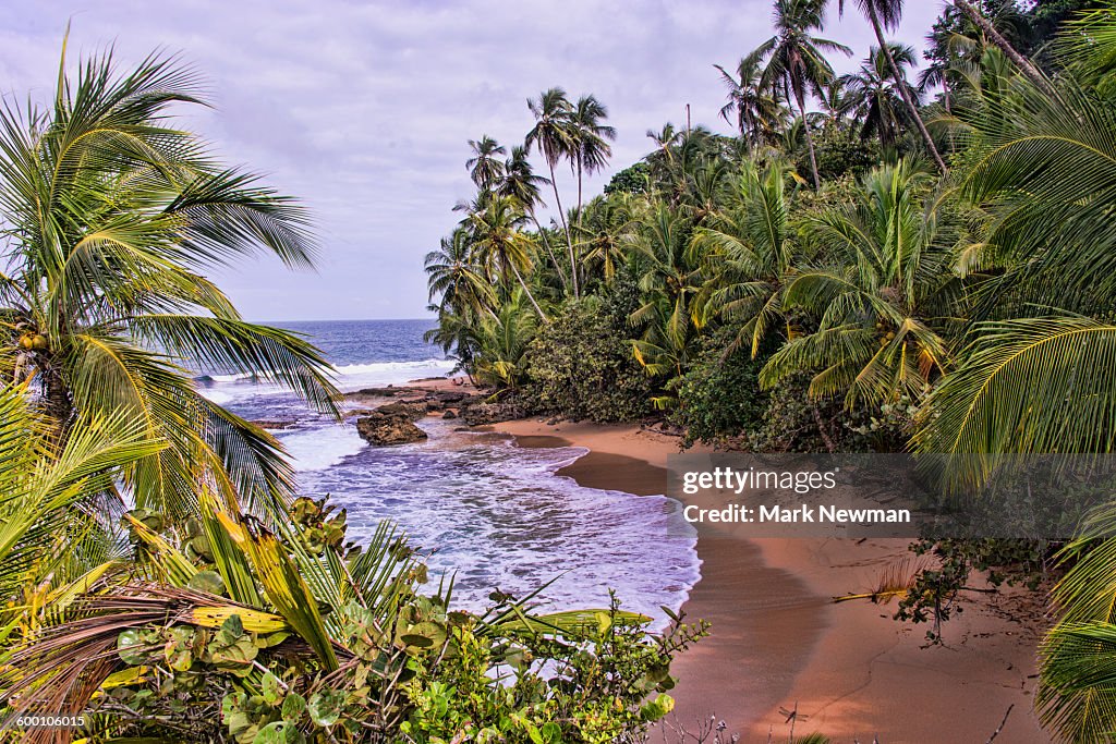 Idyllic Tropical Coastline