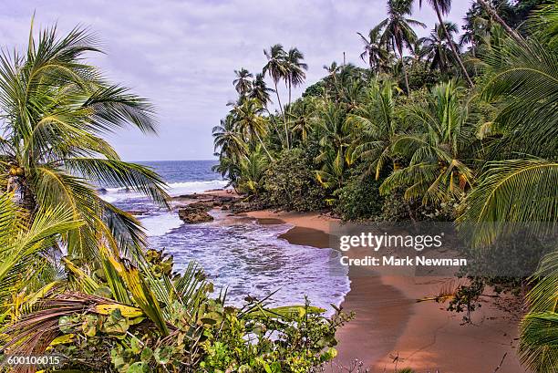 idyllic tropical coastline - 無人島 ストックフォトと画像