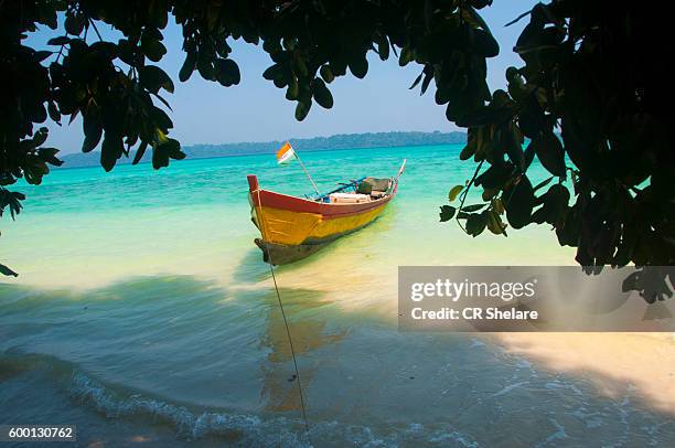 beach of havelock island, andaman and nicobar - andaman & nicobar stock pictures, royalty-free photos & images