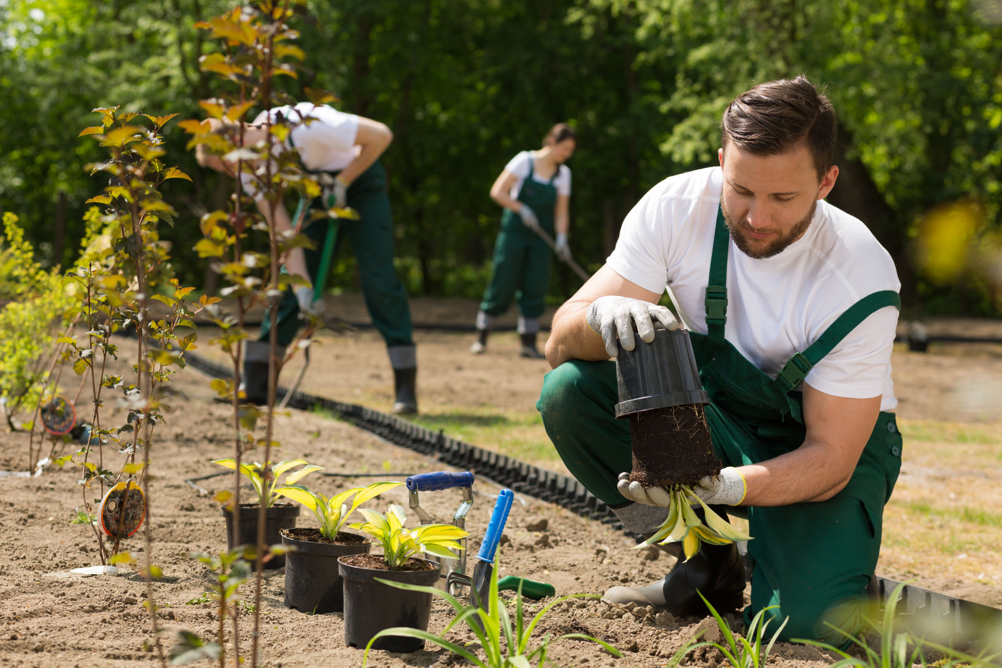 landscaping team