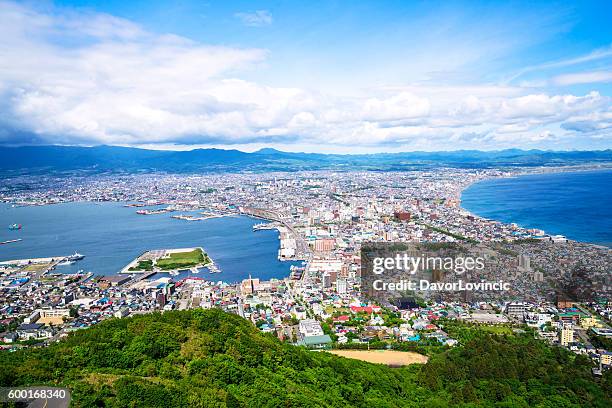 hakodate top view on hokkaido, japan - hokkaido bildbanksfoton och bilder