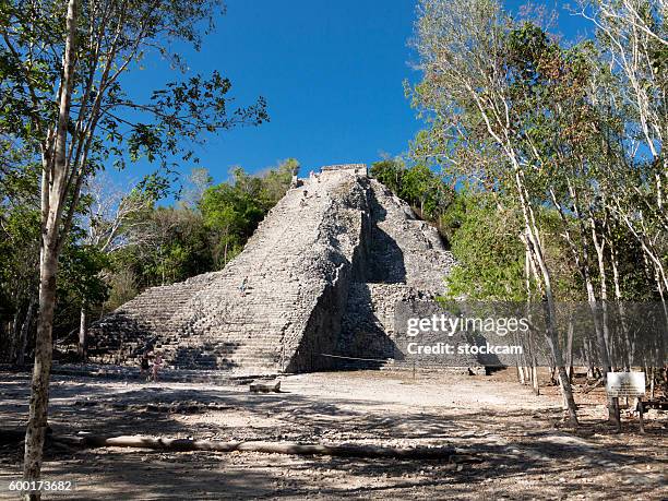 nohoch mul pyramid, coba, mexico - coba stock pictures, royalty-free photos & images