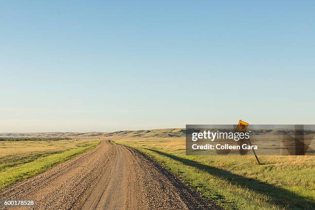 road through grasslands national park, saskatchewan - グラスランズ国立公園 ストックフォトと画像