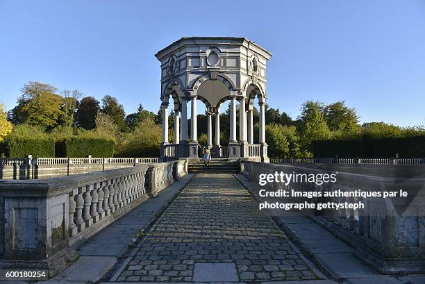 the paved access toward seven star pavilion - castle wall stock pictures, royalty-free photos & images