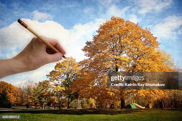 painting golden autumn in a park - pencil skirt beautiful bildbanksfoton och bilder